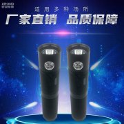 BAD202E防爆油站手电筒 户外登山手电 微型露营灯 防水